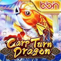 Carp Turn Dragon