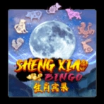 Sheng Xiao Bingo