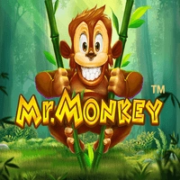 Mr. Monkey