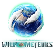 The Edge - Wild Meteors