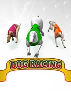 Dog Racing